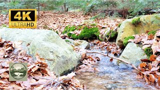 4K Meditation with Nature Sounds 1H - Harmony of Source Flowing Stream