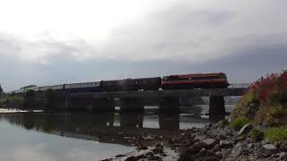 IE 073 on the "Emerald Isle Explorer" passing over Wicklow Viaduct