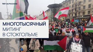 Тысячи людей в Стокгольме вышли в поддержку Палестины и Ливана