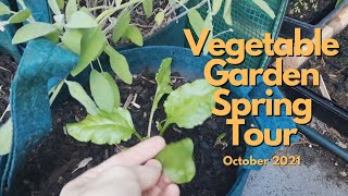 October 2021 Vegetable Garden Tour | Courtyard Container Garden