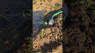 How I water my garden (volume up)