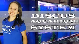 200 GALLON DISCUS AQUARIUM SYSTEM - DIY - FSXM S02E02