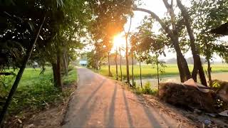 Bangladesh Village Life and Beautiful Village Scenery ।  গ্রাম বাংলার প্রকৃতি ভরে গেছে সোনালী ফসলে