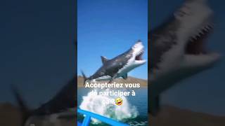 Mec qui joue avec des requins (C'est un montage) #shorts #requin #pêche #peche #sea #nature