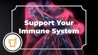 Ways to Support Your Immune System | Pharma Nord UK