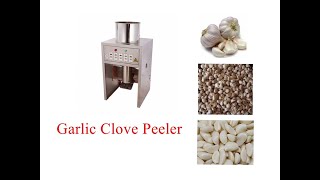 China Automatical Garlic Peeling Machine manufacturers - Twesix