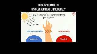 How is vitamin D3 (cholecalciferol) produced? #vitamind #vitamindeficiency #cholecalciferol #calcium