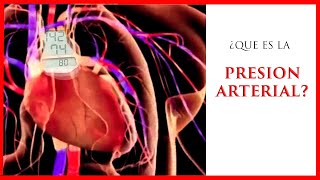 ✅ ENTENDIENDO  que es la PRESION ARTERIAL ❤️| PRESION ARTERIAL SISTOLICA y DIASTOLICA ❤️| 2021