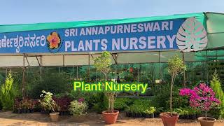 Plant Nursery | #nursery  #garden #plants #pureair #plantation #oxygen #ontheway #sakleshpur #hassan