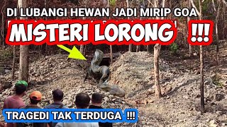 Viral❗blusukan nemu lorong di lubangi hewan dan jadi goa sarang ular