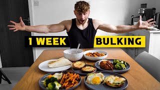 Cheapest Way to Bulk (Under £30)