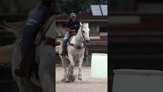 Horse riding in slow motion. What I see vs what my camera sees. #shorts