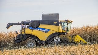 Zrnová kukuřice 2016 - New Holland CR9070 SmartTrax + New Holland CornHead 6r