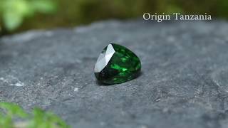 RARE African Green Tsavorite Garnet - GemSelect Video Review