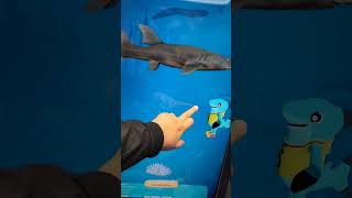 game ikan game seru interaktif dan edukatif menarik dan menambah pengetahuan #gameikan