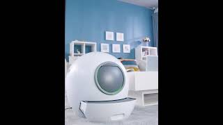 Automatic cat litter box