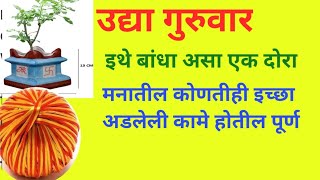 उद्या गुरुवार इथे बांधा असा एक दोरा मनातील कोणतीही मनातील इच्छा अडलेली कामे पूर्ण होतील पैसा येईल.