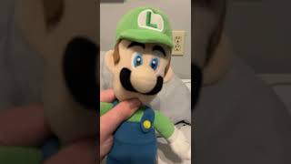 Luigi is Steve