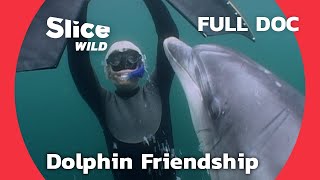 Between Two Worlds: A Human-Dolphin Friendship Adventure | SLICE WILD | FULL DOCUMENTARY