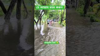 বন্যার পানি রাস্তায় উঠে গেছে।  পরিস্থিতি খা'রা'প।  #বন্যা #বন্যা_পরিস্থিতি #বন্যার_খবর