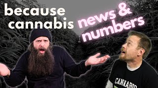 news & numbers - because cannabis episode #14