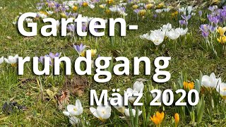 Gartenrundgang im März 2020