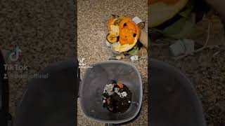 Composting kitchen scraps made easy! #composting #shorts #kitchenwastecompost