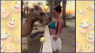 فيديوهات مضحكه جدا 🤣 تحدي الضحك مواقف طريفة ومضحكة تموت من الضحك🤣🤣 حلـــ 333ــقـــــة