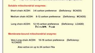 Beta Oxidation of Fatty Acids