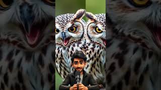 "Discover the Artistic Nature of Owls: Their Silent Flight and Secret Language"