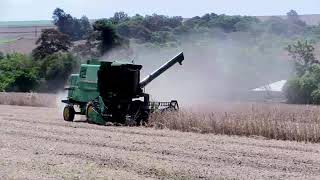 La Voz Agropecuaria, mostrando la producción de soja desde Naranjito