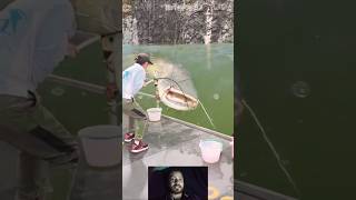 Best Hook fishing ✅|smart Boy hunting fish by fish hook From beautiful nature🥰#video #fishing #fishc