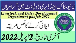 Livestock and Dairy Development Department Punjab Jobs 2022