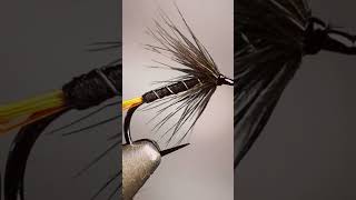 Black pennell #fishing #flytying #flytyingnation