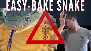 Snake Room Emergency Remodel! | Primitive Predators