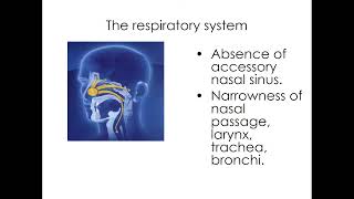 15:40 Respiratory system