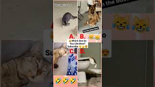 Funny Animal Videos 2022 - Funniest Cute Cats And Dogs Video #cat #shorts #animals #trending #tiktok