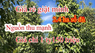 (Đã bán))2.4 ha cafe tiêu 1 ty 350 triệu giảm xuống còn 1 ty 150 triệu sổ đủ bán nhanh về quê với vợ