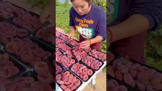 Viral girl #food #fruticutting #shorts #ytshorts #farming