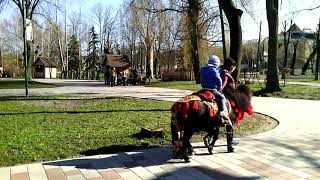 Центральный парк.Апрель 8.04.2018 г.