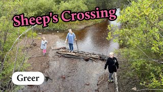 Sheep's Crossing near Greer, Easy Arizona Hike With Water for Kids