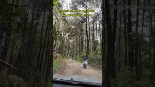 Ternyata seperti ini jalan menuju gunung pancar, menembus hutan pinus, menyesal...