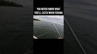 You never know what you’ll catch when fishing!#WrongSpeciesWednesday #NotABass #Fishing