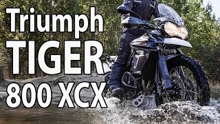 2015 Triumph Tiger 800 XCX