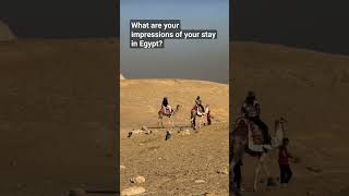 What are your impressions of your stay in Egypt?