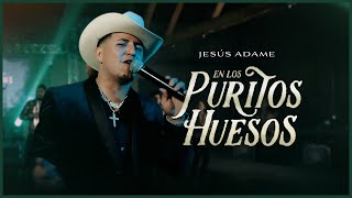 Jesús Adame - En Los Puritos Huesos (En Vivo)