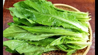 油麦菜别炒着吃，教你好吃做法，5分钟做一盘，脆嫩营养，真解馋【Lettuce in oyster sauce】