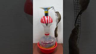 Best mouse trap idea//good rat trap at home #rat #rattrap #mousetrap #shorts