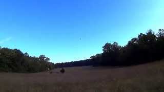 Wade Sun flying RC helicopter inverted 3D blade mcpx 1948