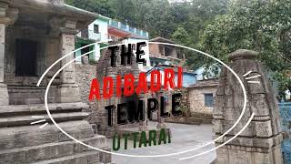 Adi Badri Temple is located on Karnaprag-Ranikhet road in Uttarakhand.